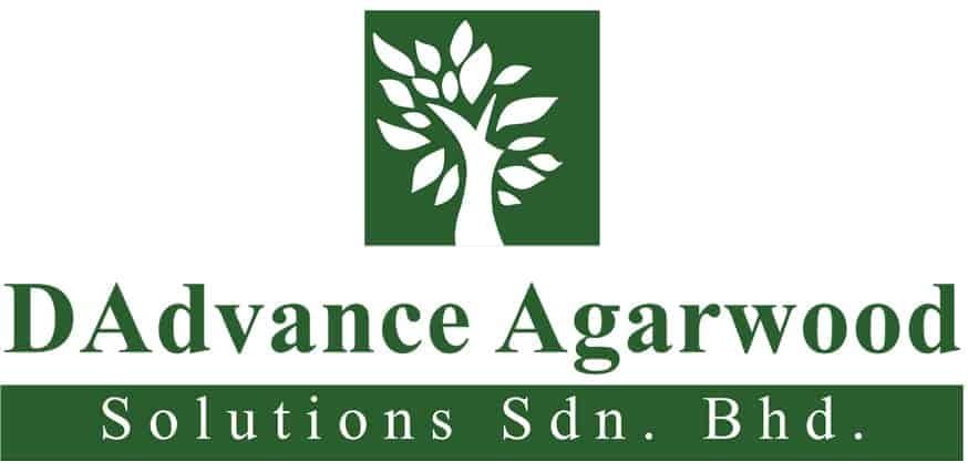 Image of DAdvance Agarwood Solutions' logo - green and white color scheme with a graphic of a white tree in a green block and the company name lettered in a serif font, the first half in green, and the other half in white