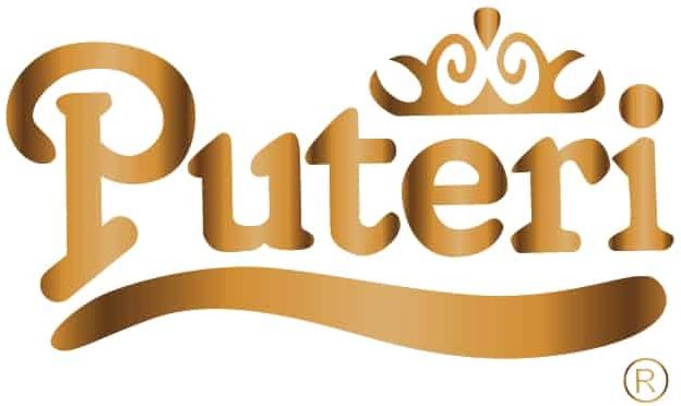 Logo of Puteri - 'Puteri' lettered in an artistic serif font, underlined by a wavy shape, with a tiara on top; all overlayed with a bronze gradient