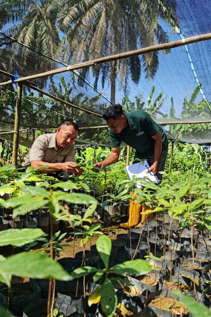 Rayman Ariff Soh Photo 3